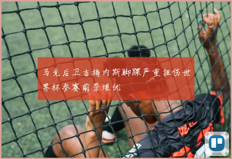 马竞后卫吉梅内斯脚踝严重扭伤世界杯参赛前景堪忧